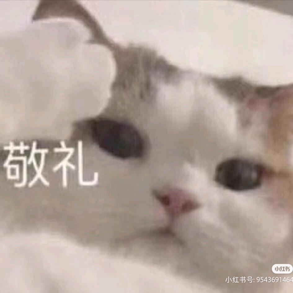 癫喔