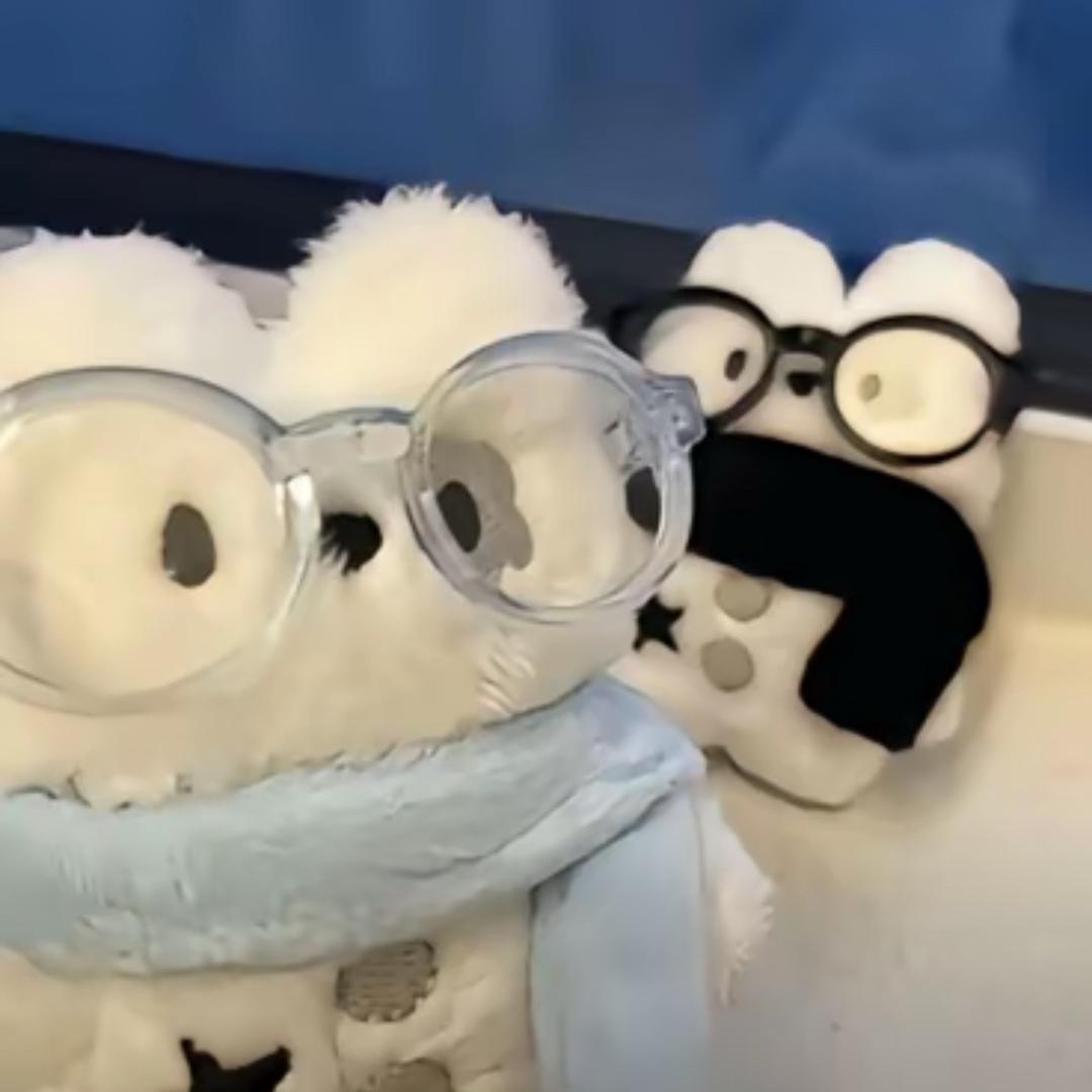 自有喵计☆⌯'ㅅ'⌯