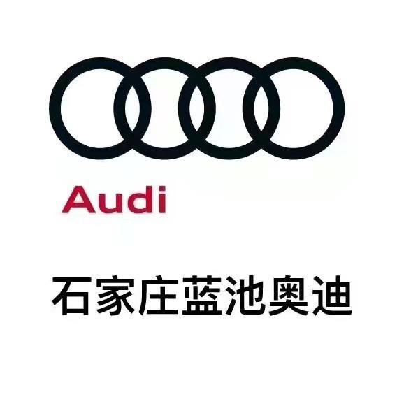 石家庄蓝池奥迪二手车小小