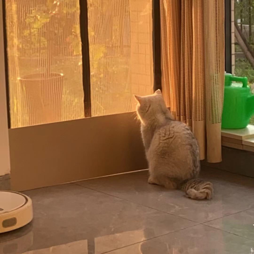 超级超级小萝卜