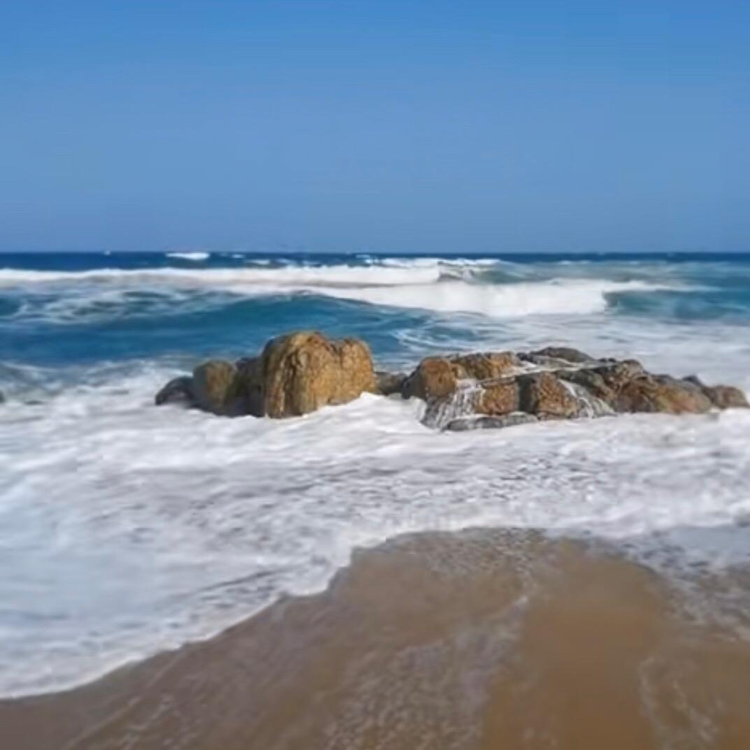 若见诸相非相即见如来