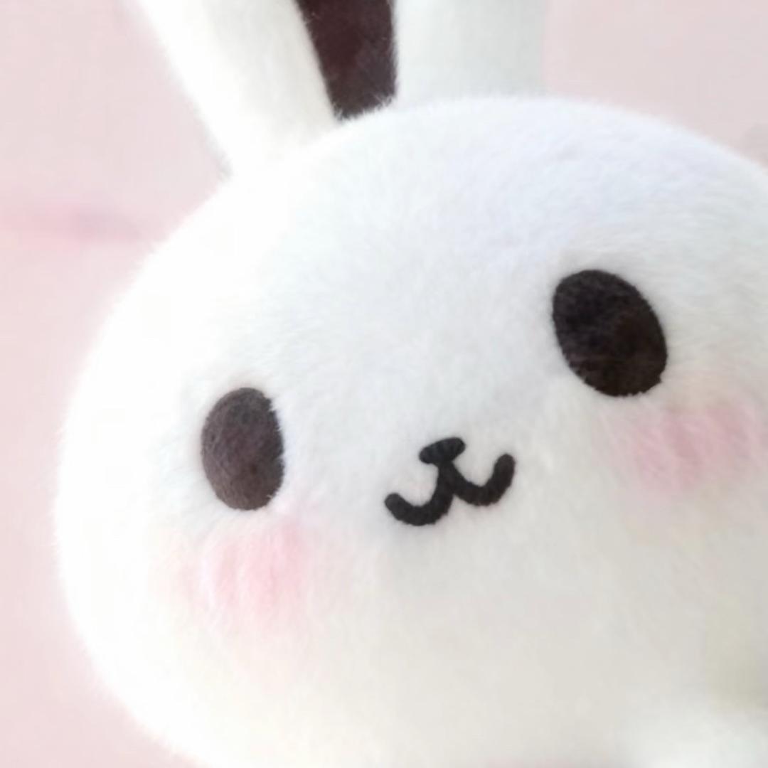 我就爱吃醋怎么啦🐾