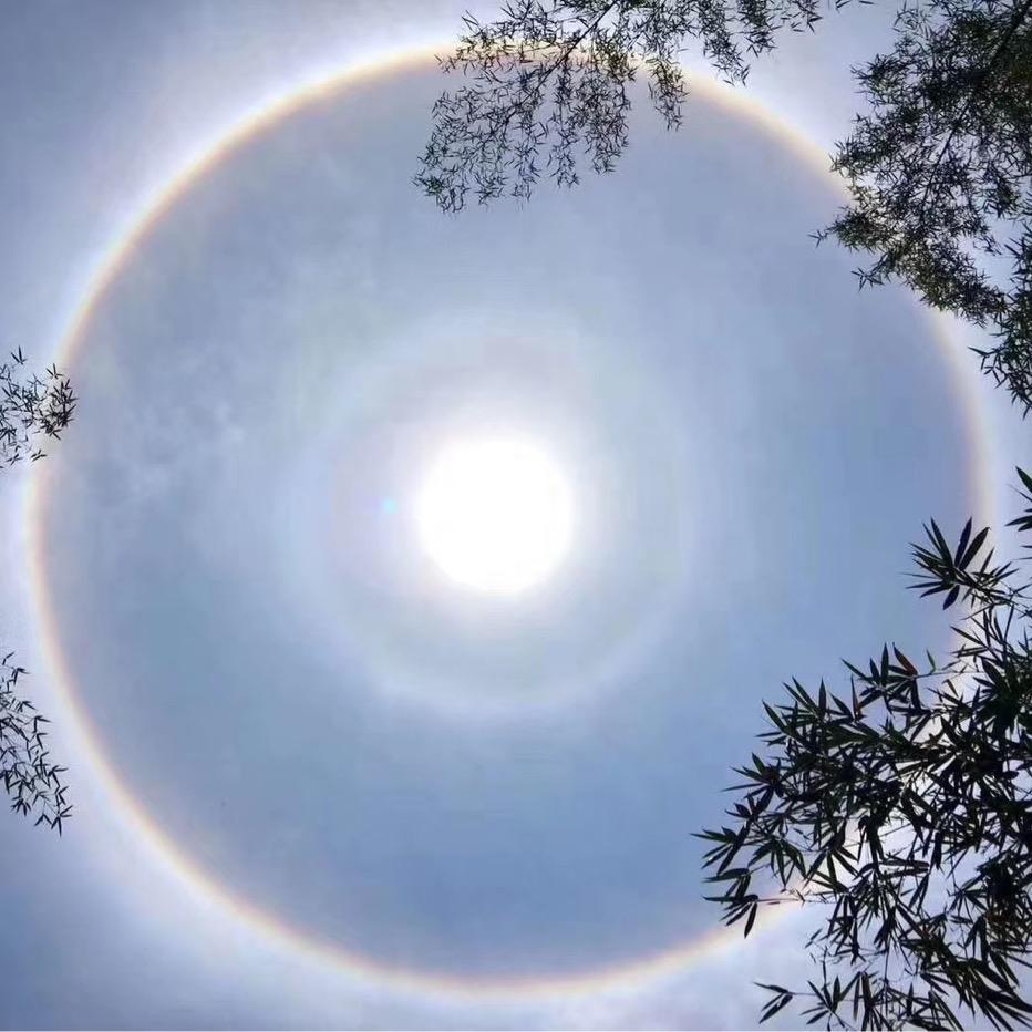 弯扭扭
