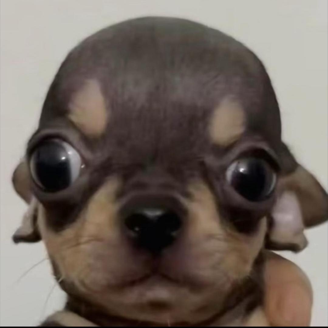 seeyouegg