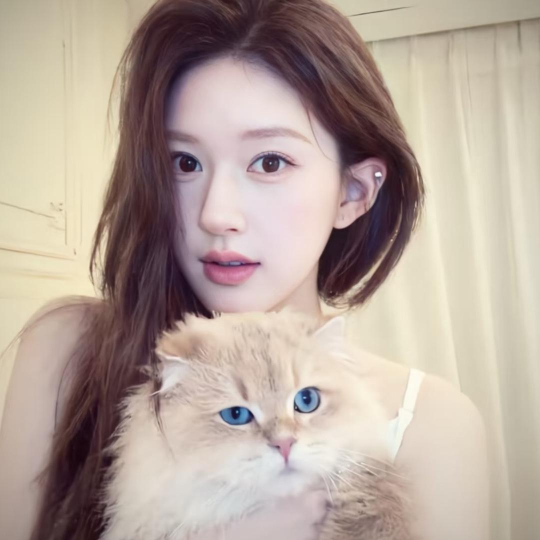 小猫不流泪