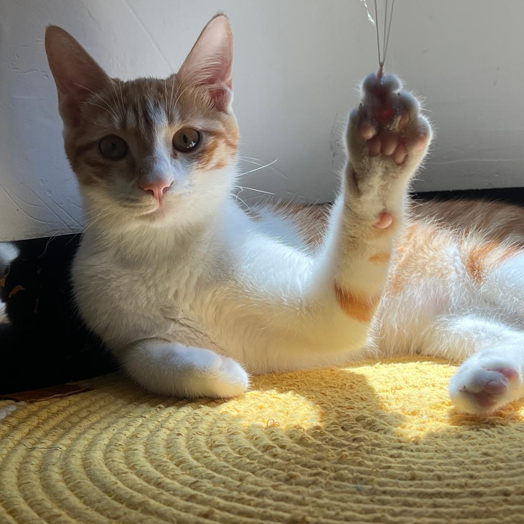 ￴ ￴ㅤㅤㅤㅤㅤ