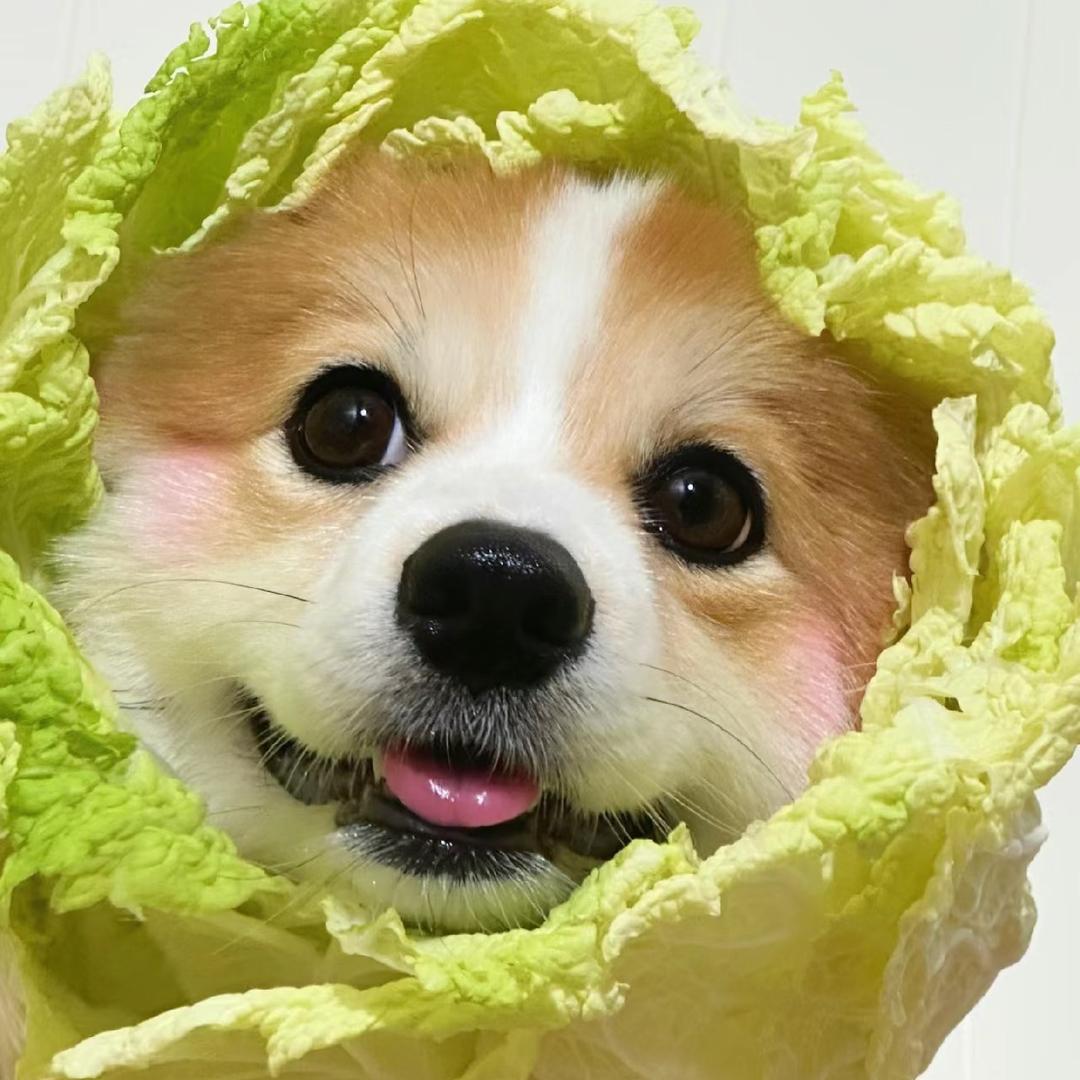 六六DIY潮玩店