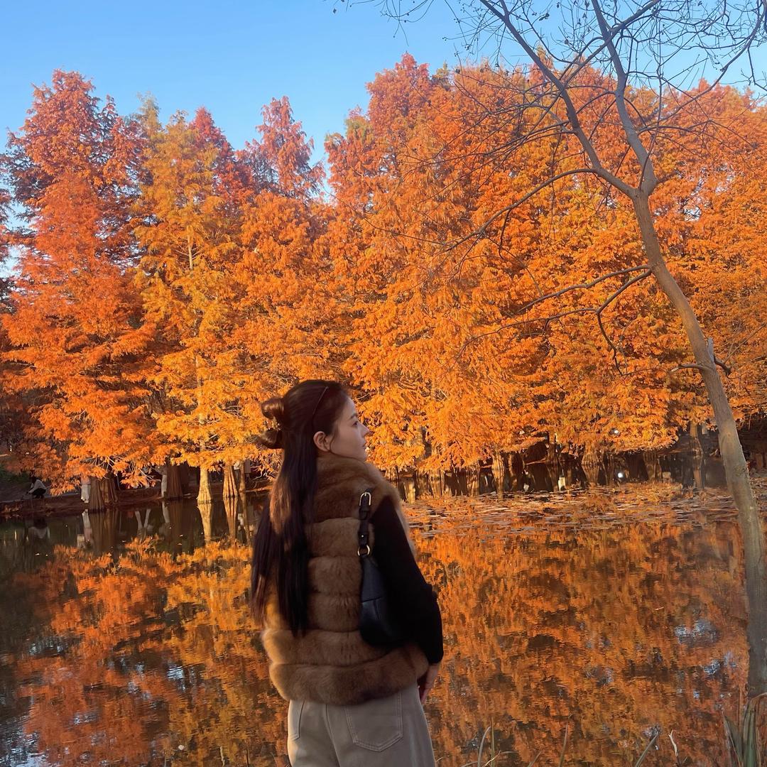 我是🇨🇳徐努力吖