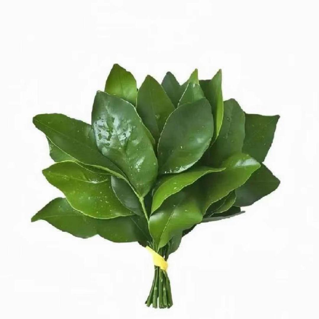 财神爷的小跟班