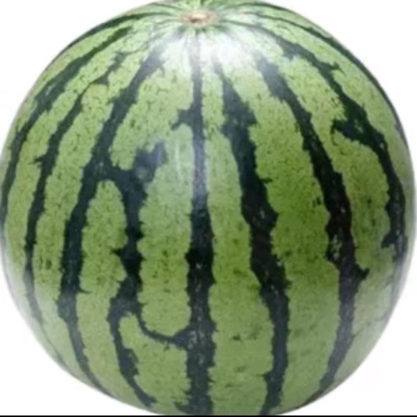 我叫西瓜头（只钞