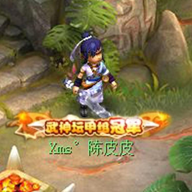 梦幻陈皮皮团队