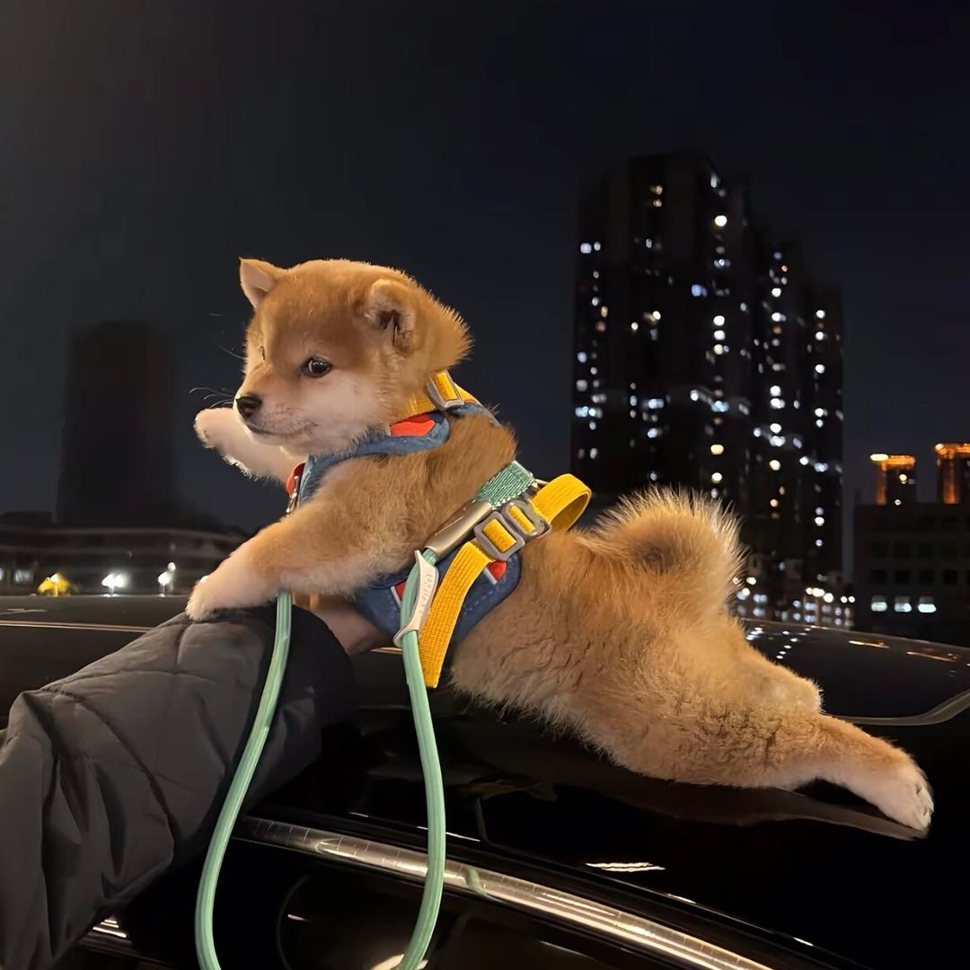 小宇