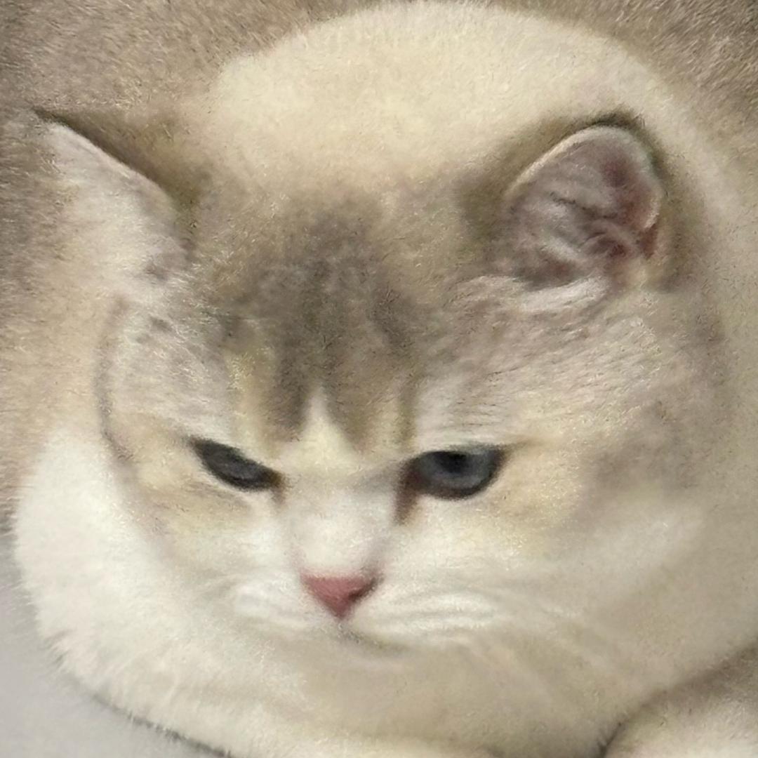 请给我一杯热橙汁