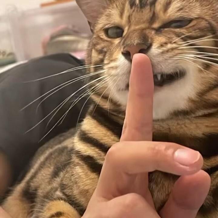 不想上早八.