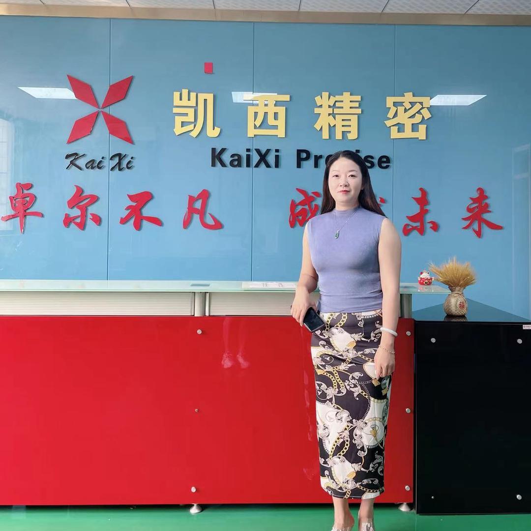 凯西锌铝压铸谢海螺