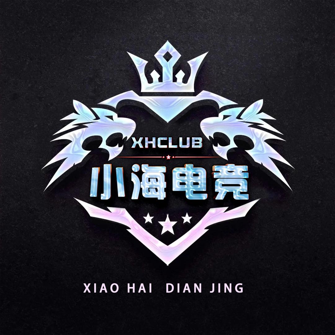小海电竞（三角洲行动)