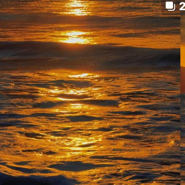 小金鱼儿🐟🐠