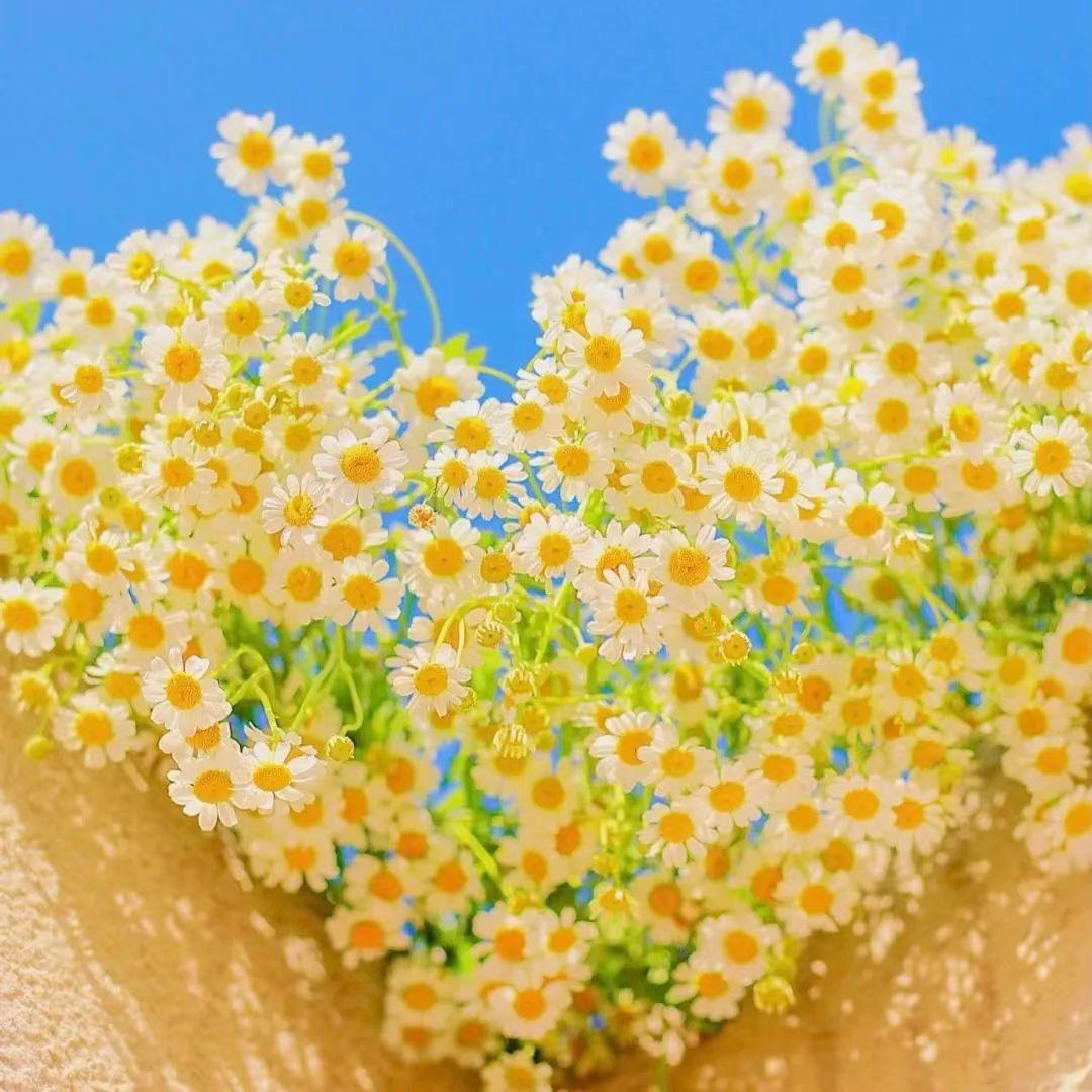 温暖(•ૢ⚈͒⌄⚈͒•ૢ)