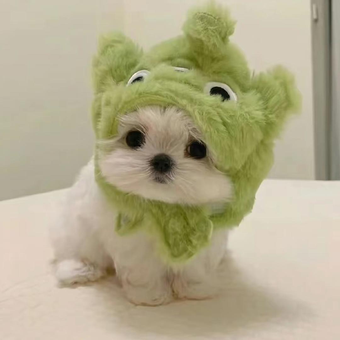 楠！