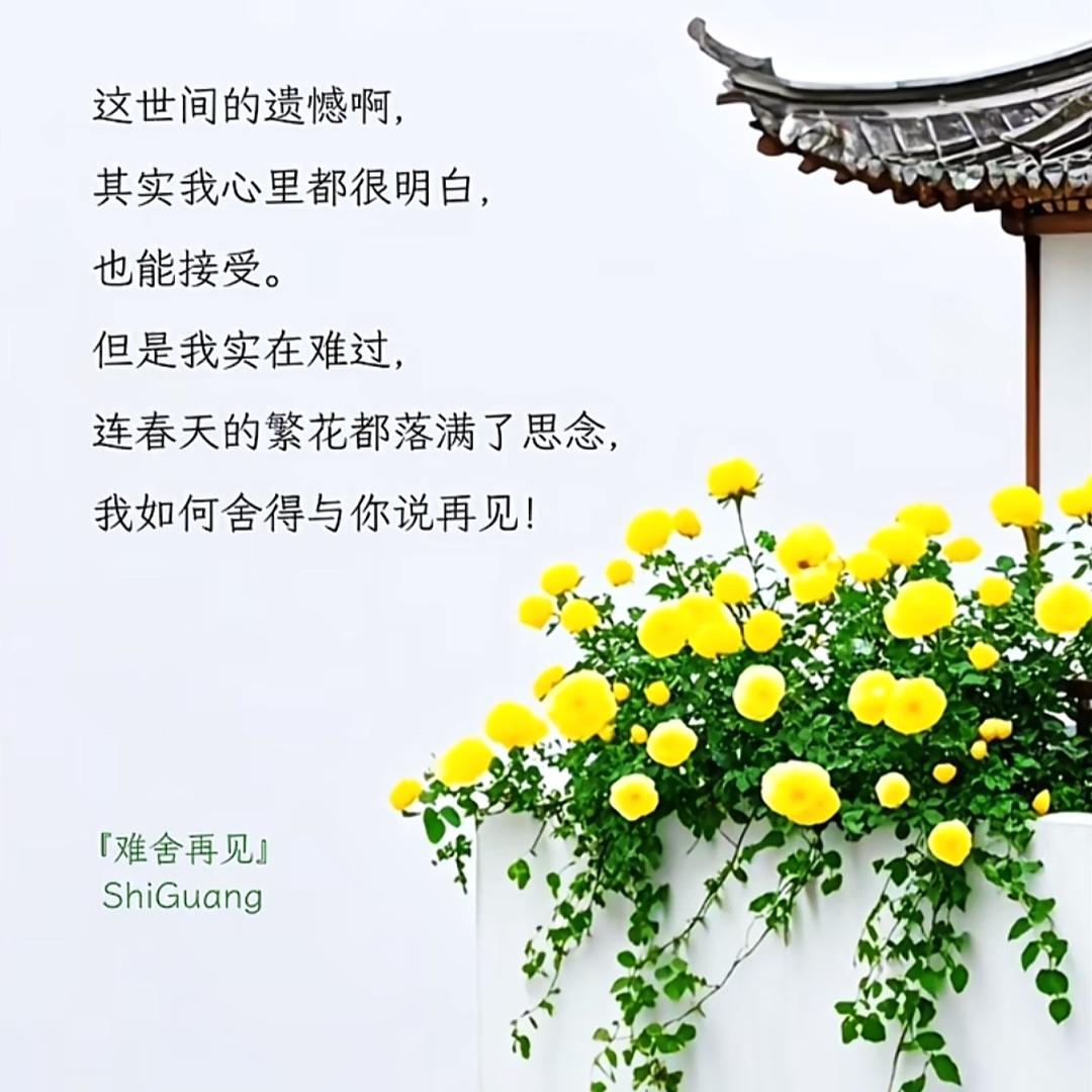 江湖路远