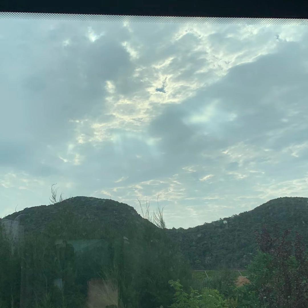 夏雨过后的样子