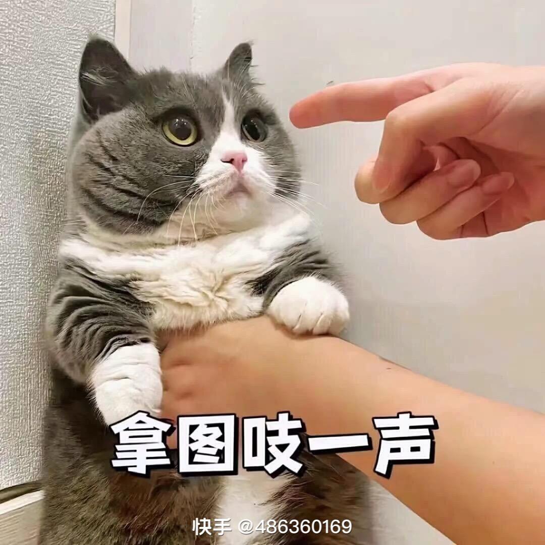 羊毛衫