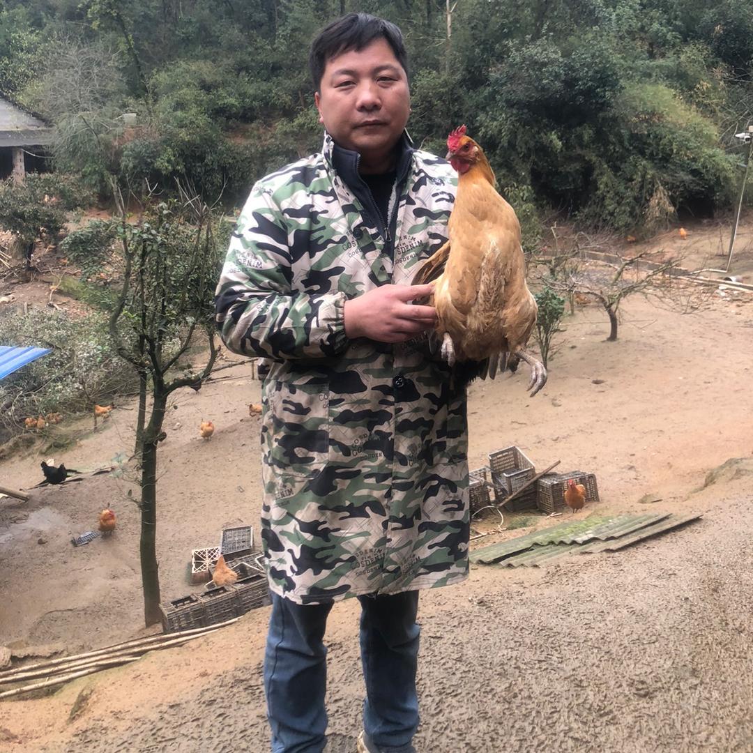 宁乡王氏农业发展有限公司
