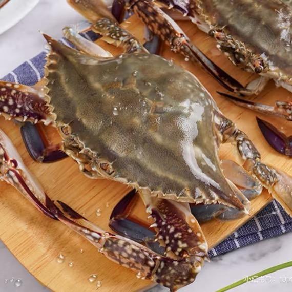 舟山梭子蟹海鲜小蕾