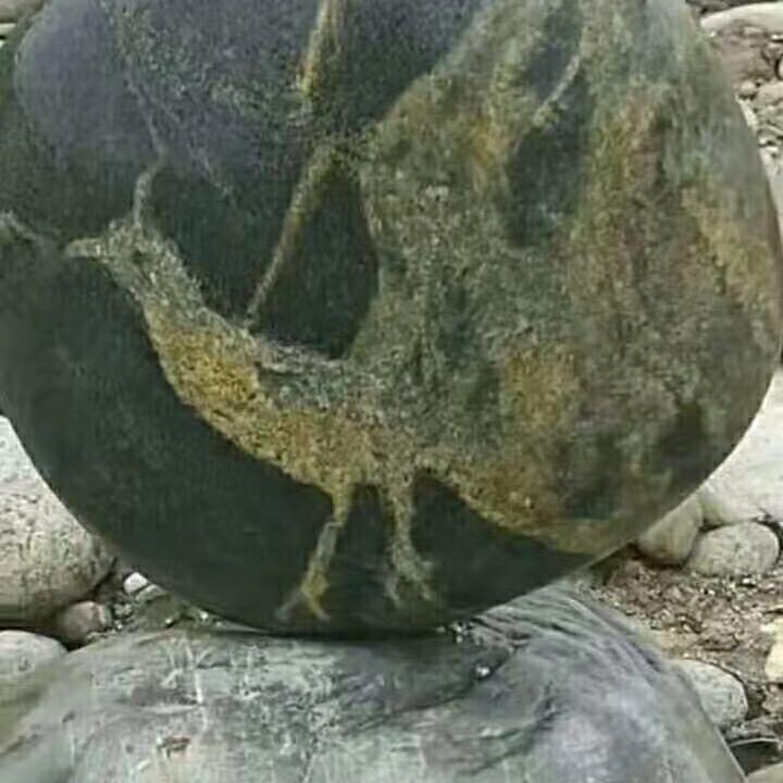 罗成🦅