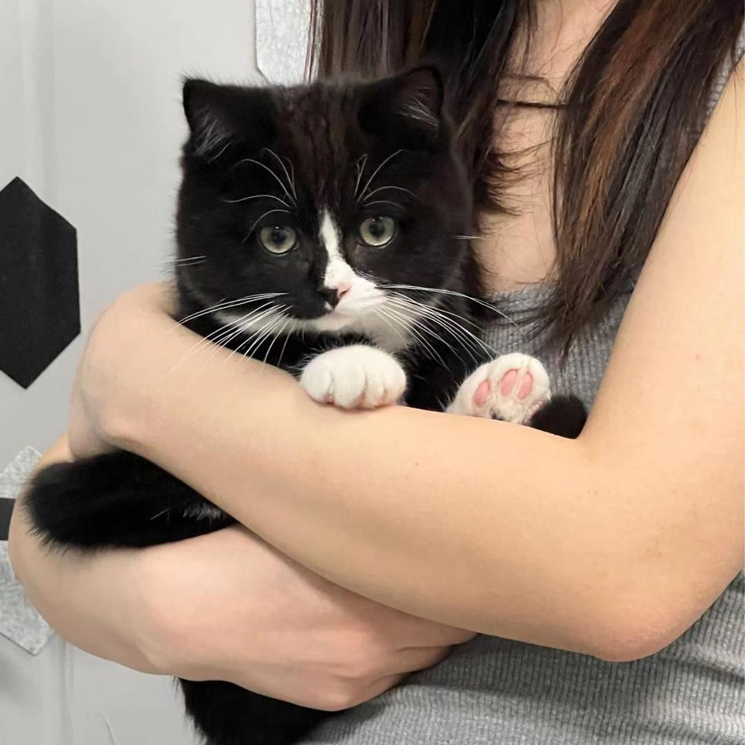 冷静小锅不慌不忙莫急莫急