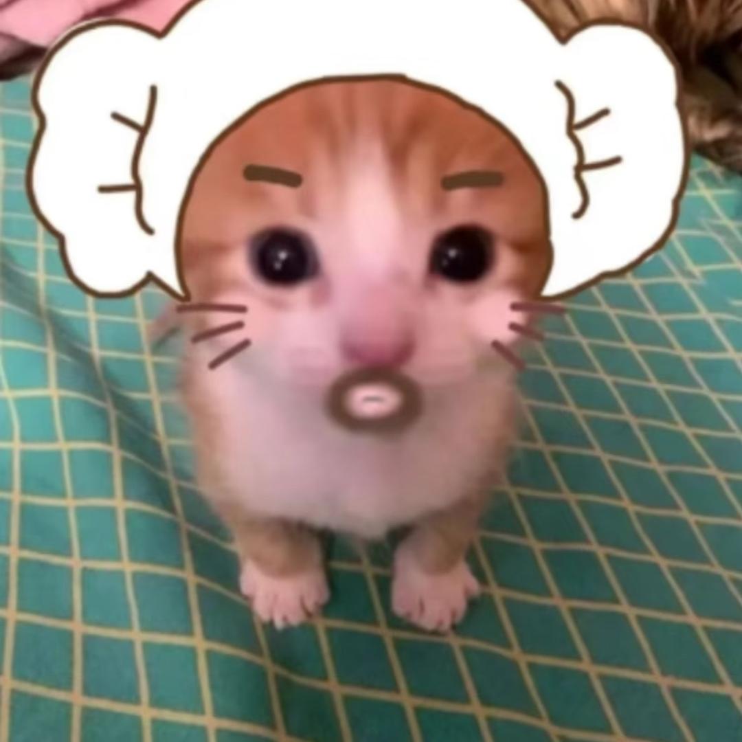 cccyf