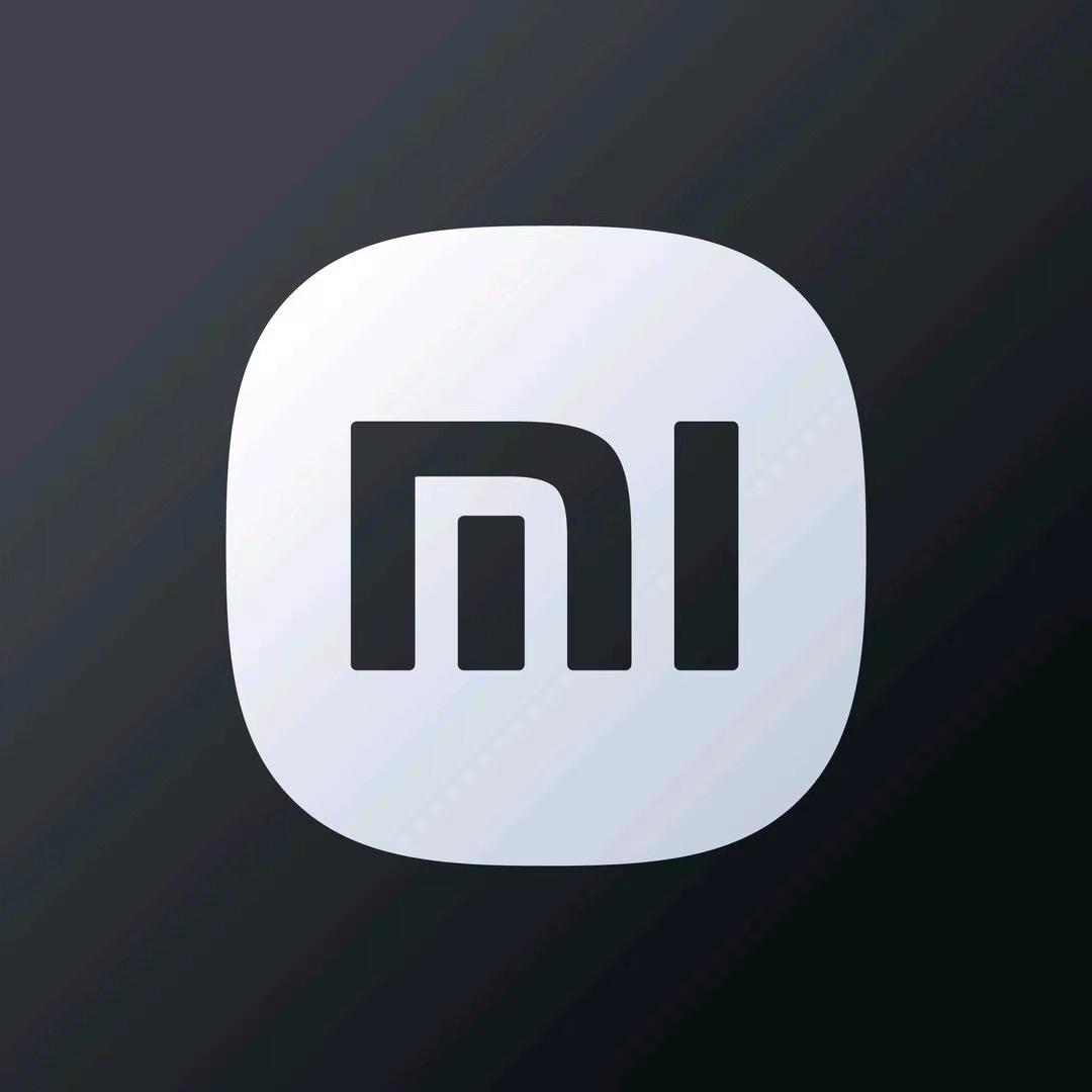 小米汽车|槐荫区经十路店小雪