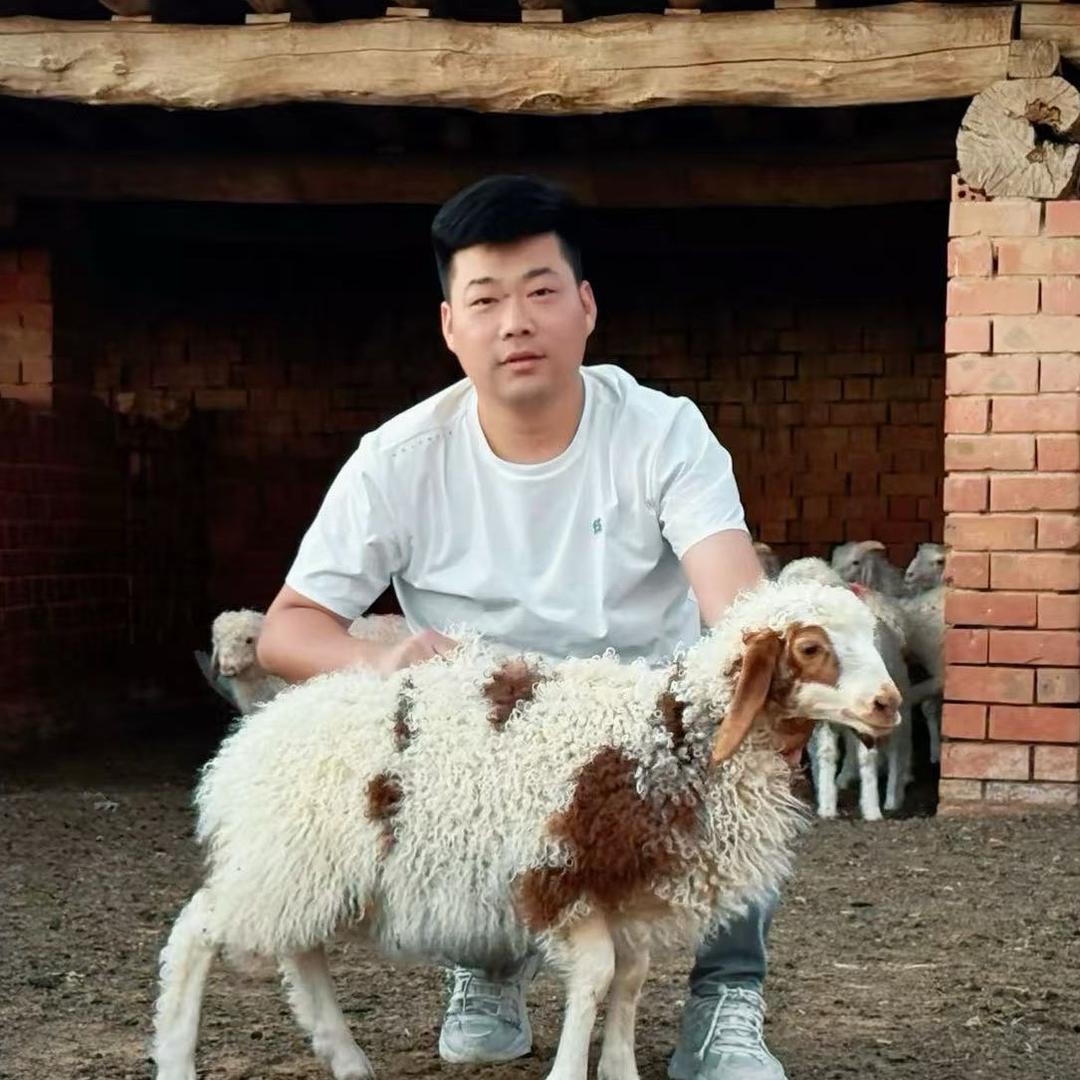顺闲斋 羊肉铺(呼伦贝尔鲜肉涮)官方号
