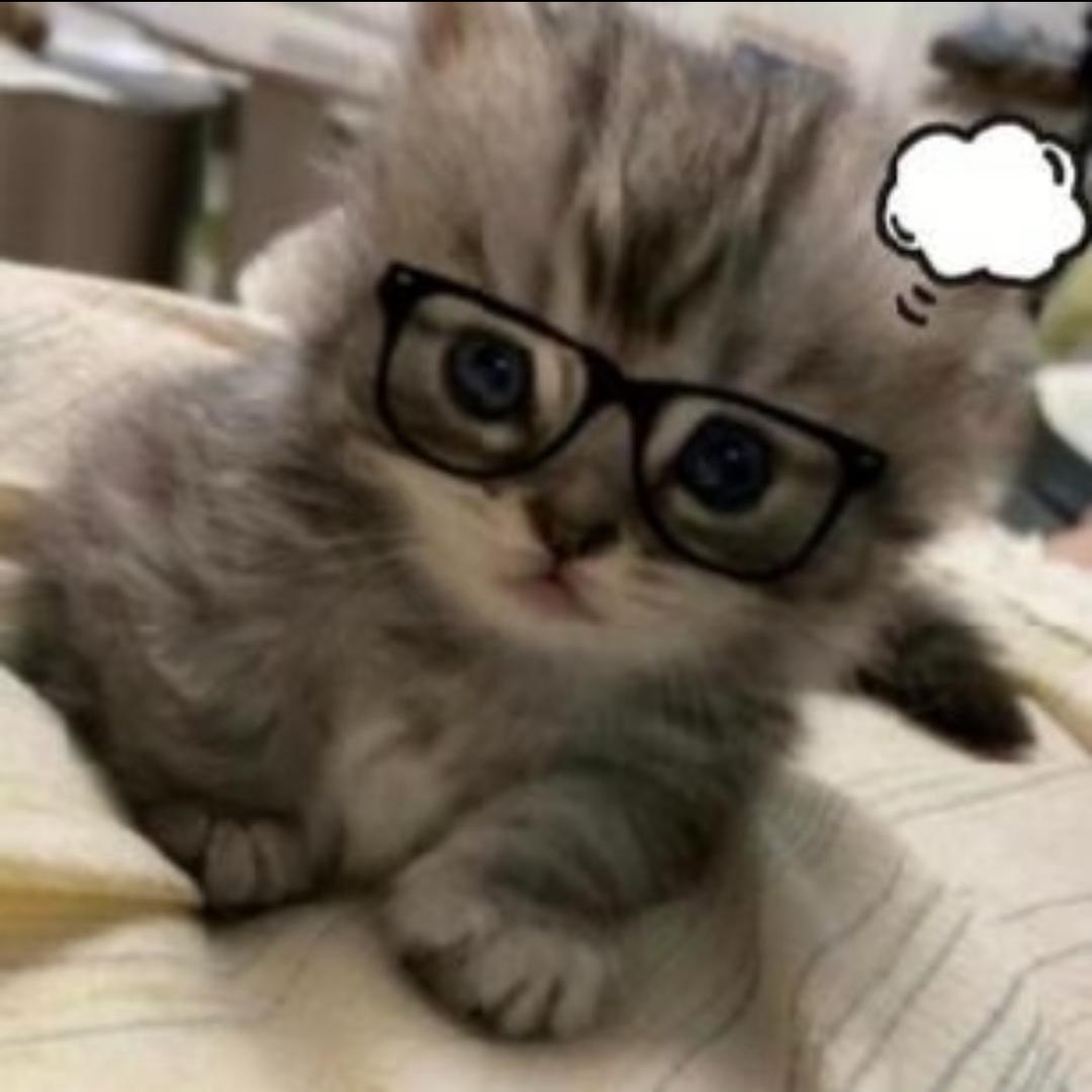 小格