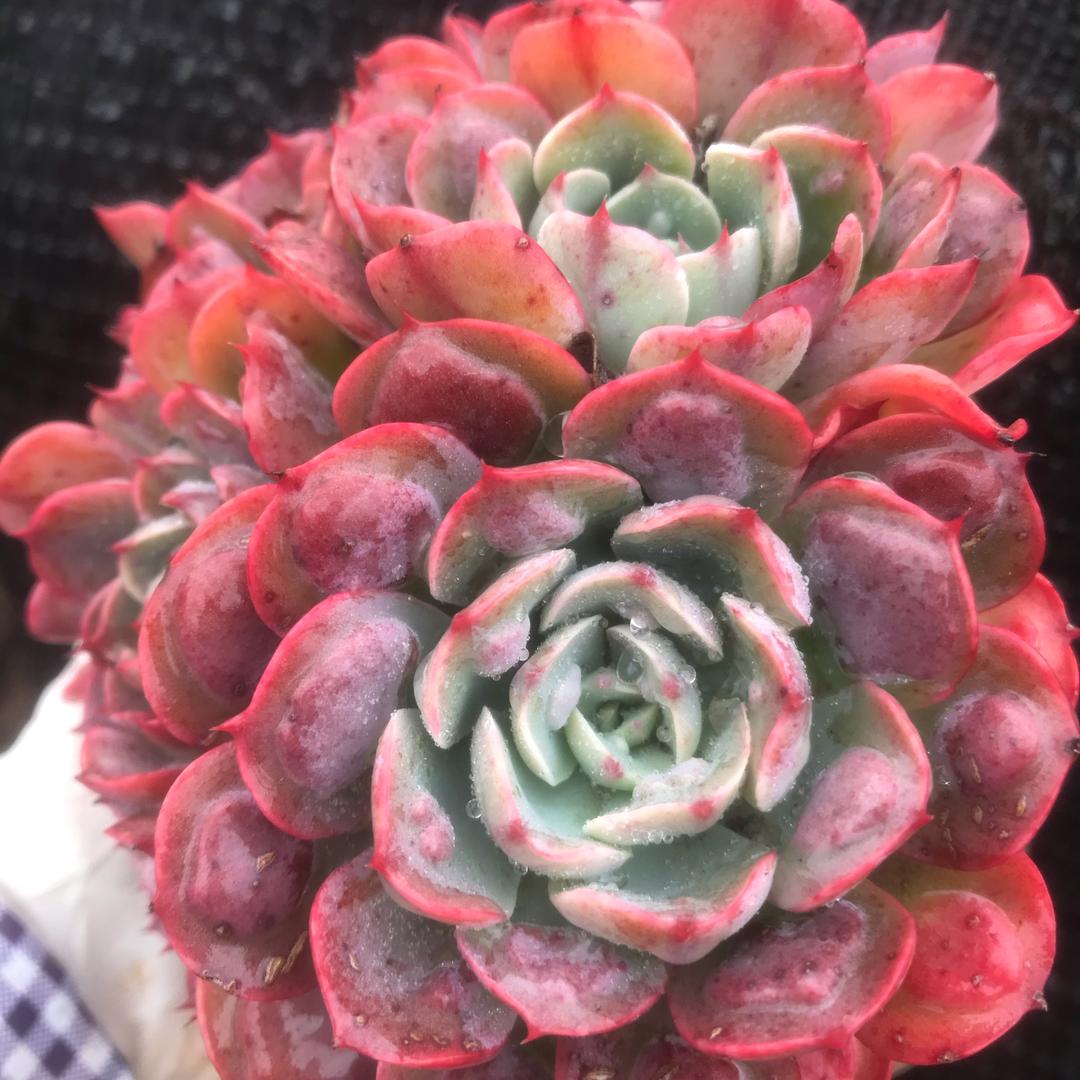 沾益龙华幸福花园的小店