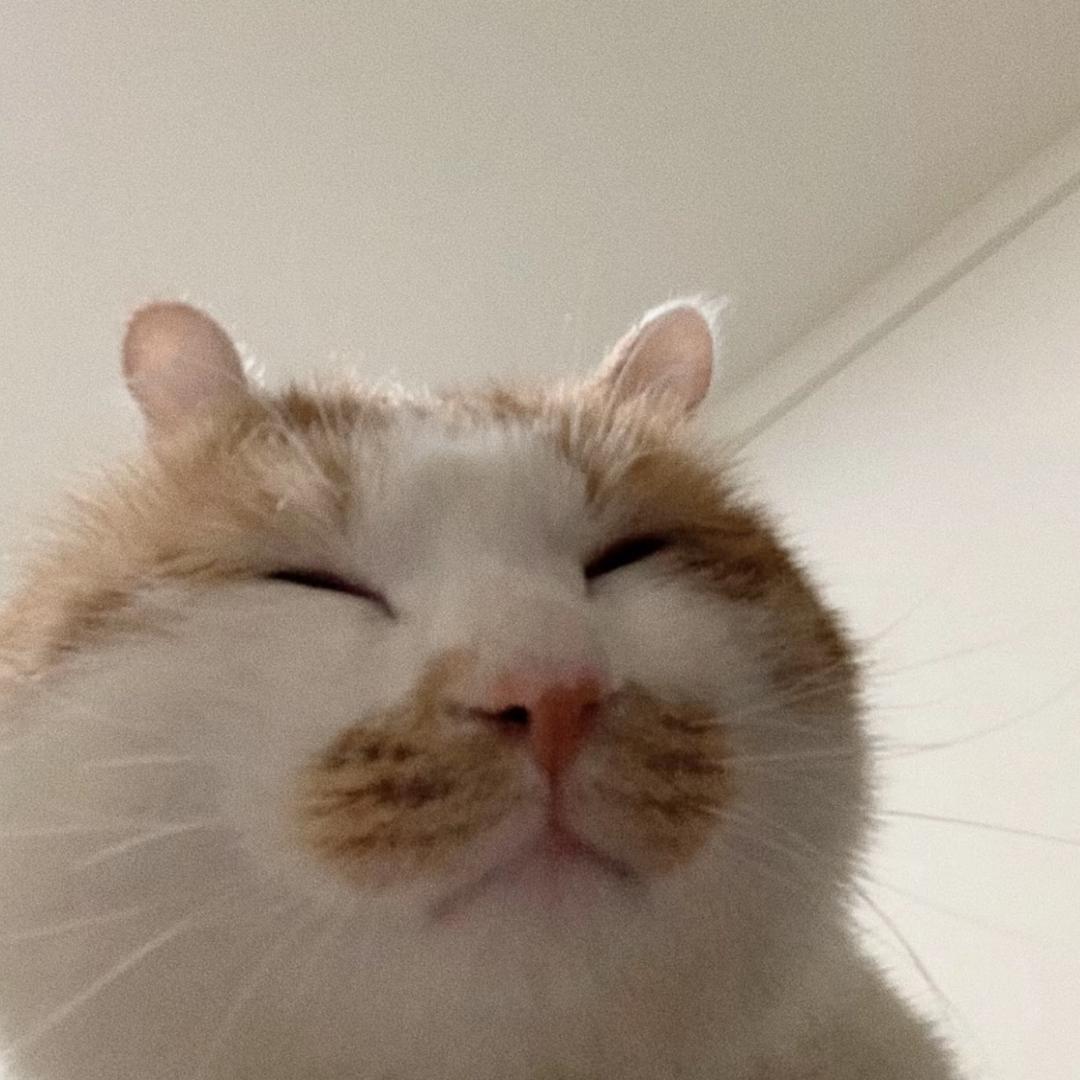 涵涵我的全世界