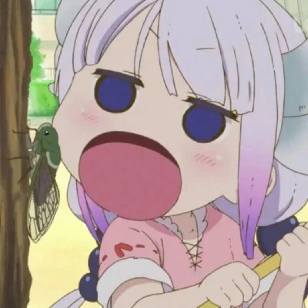 妙蛙花