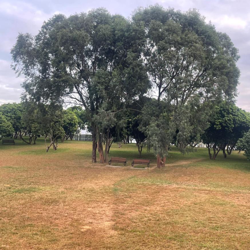 伺服驱动器、变频器售后维修中心！