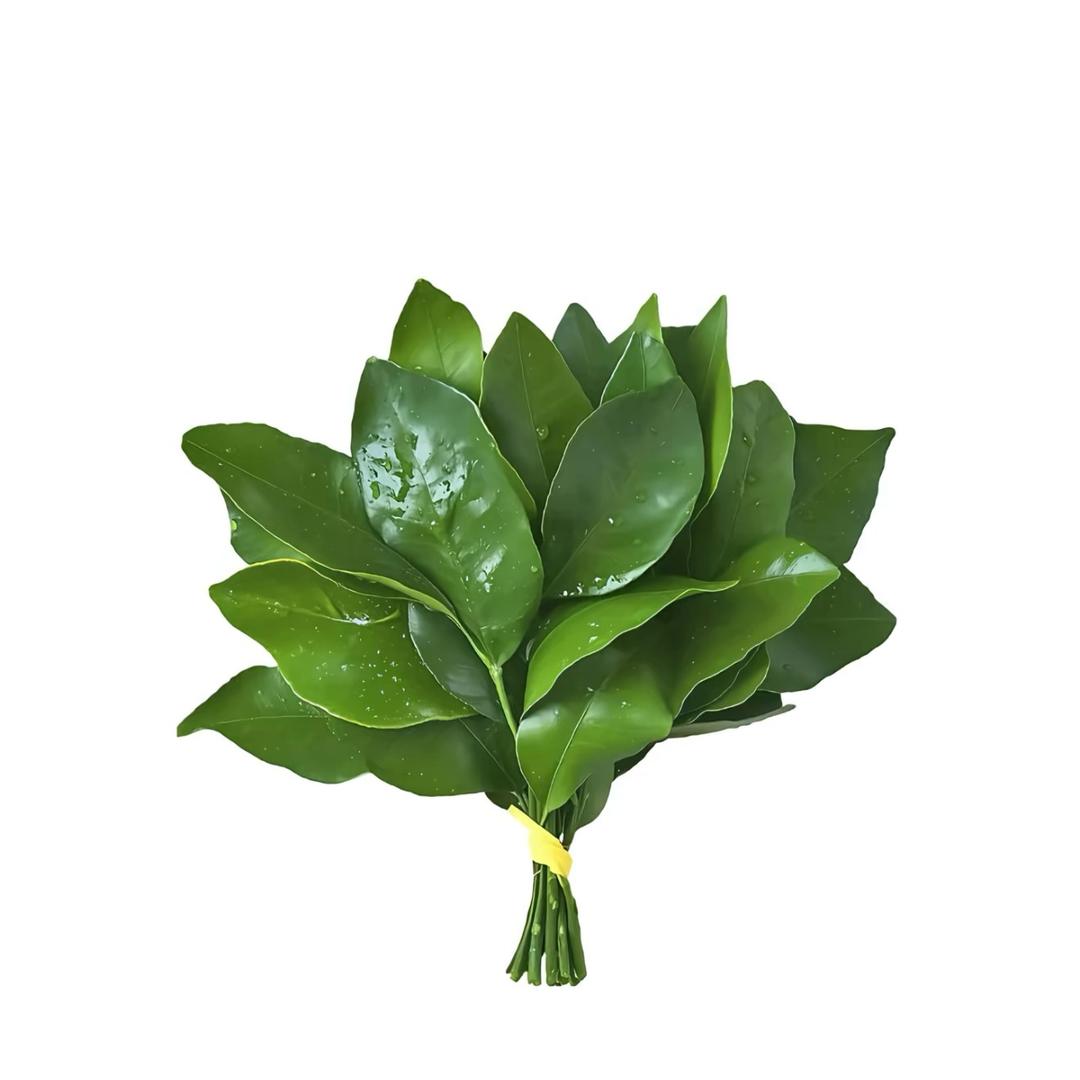 九·月