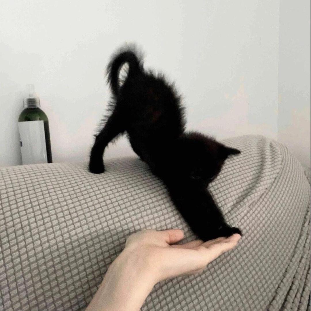 Oo