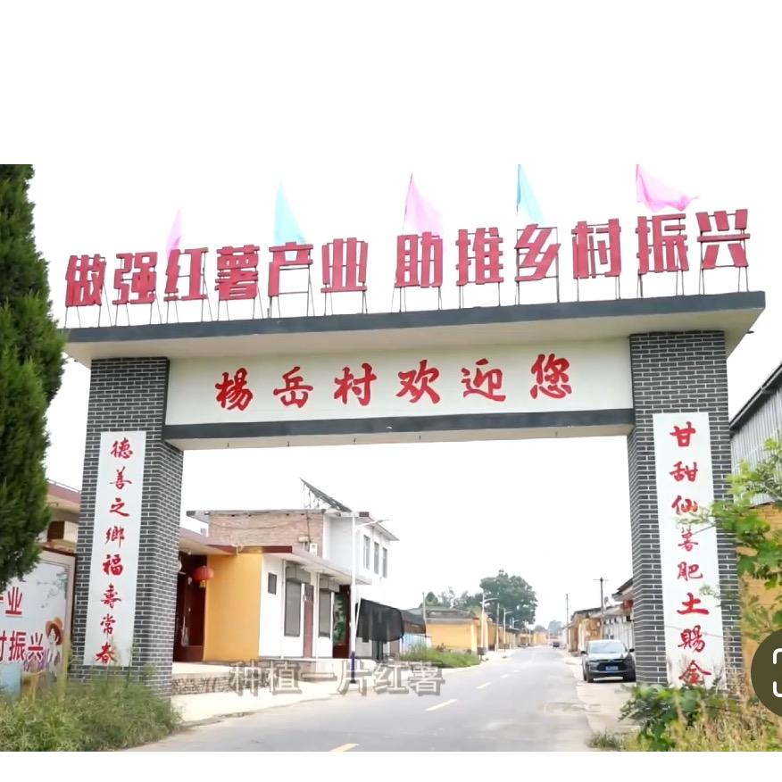 淹底红薯小镇