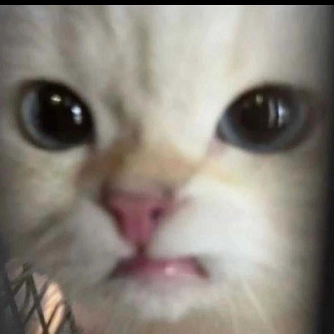 六六大顺