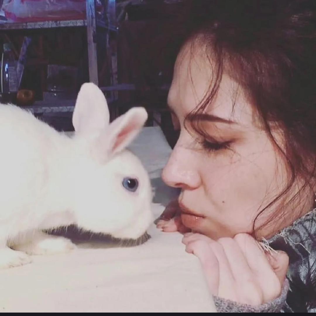 LareinaJN