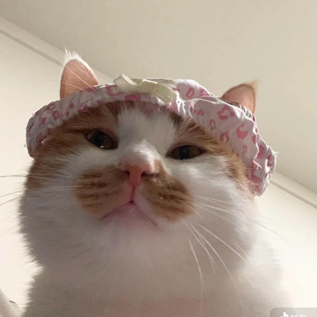 宅宅