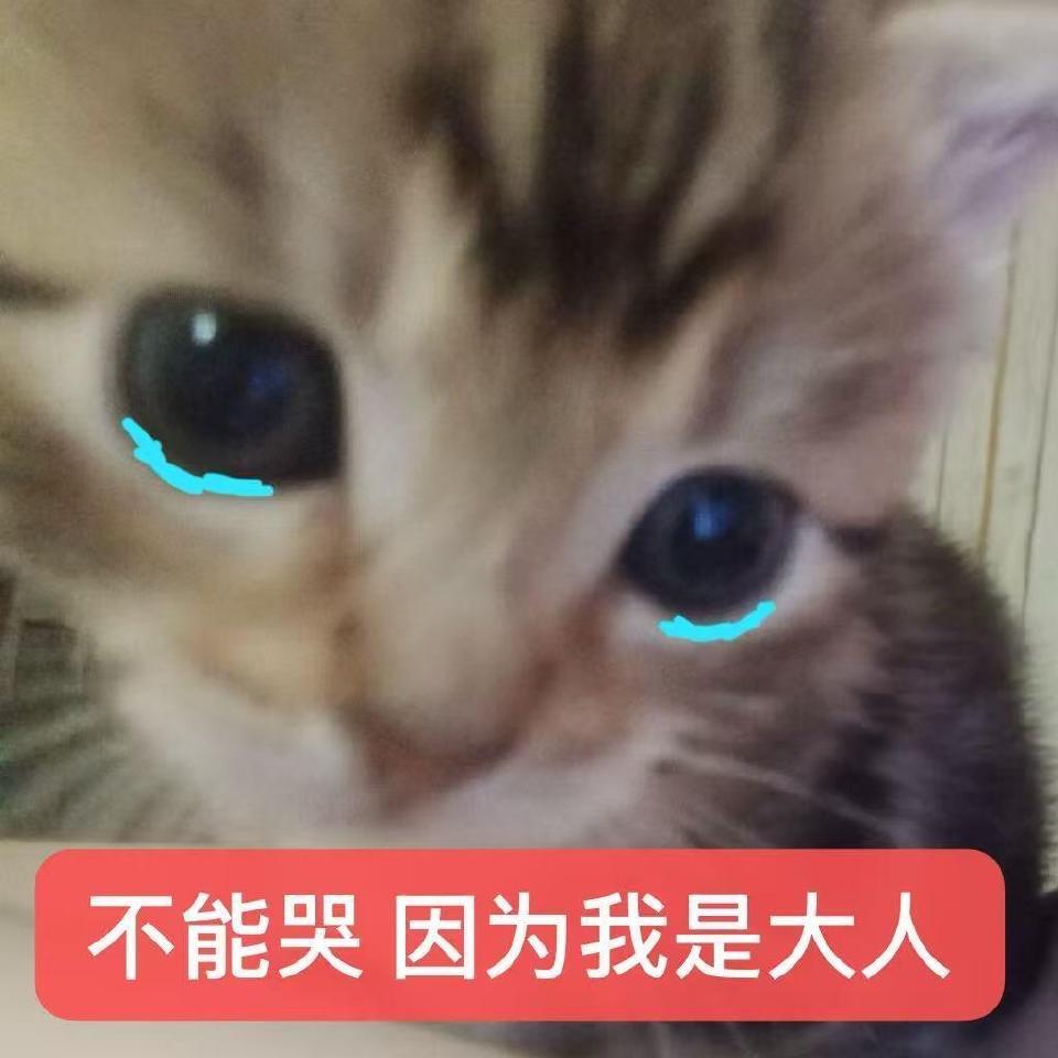 哦西修