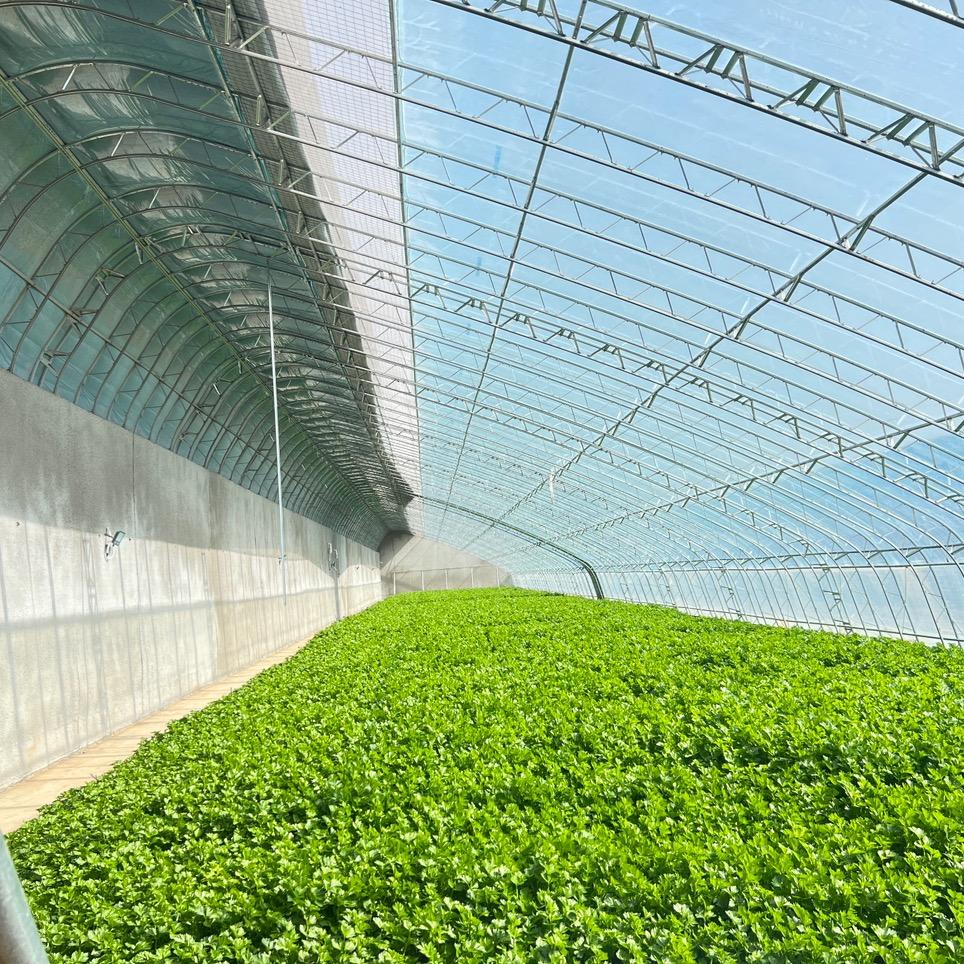 天津卖钢材的汪海南