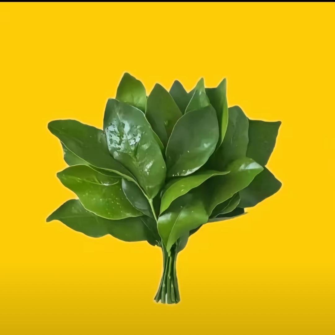 🐰🐰~（接🥚）