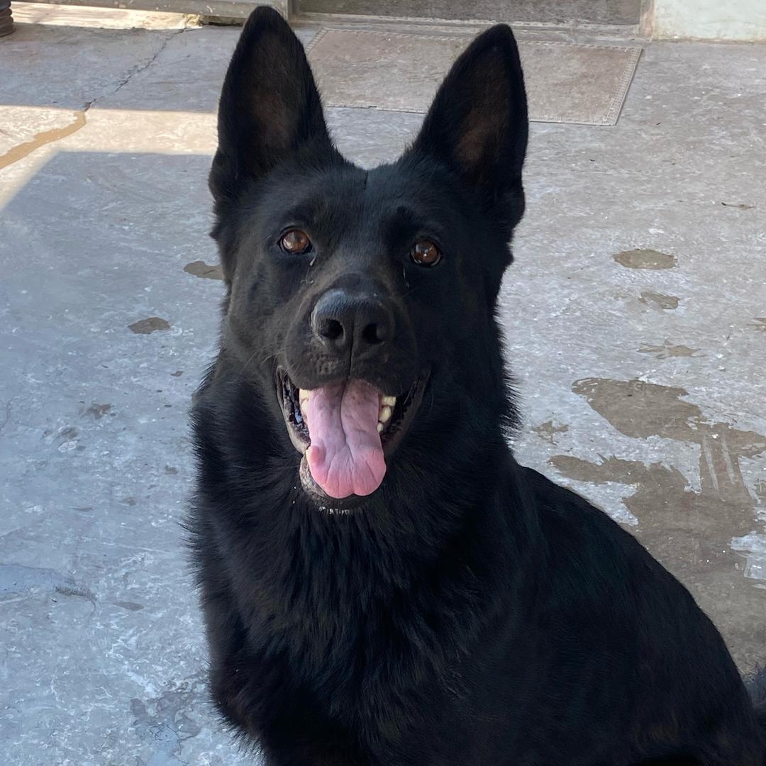 小何（石灰油）