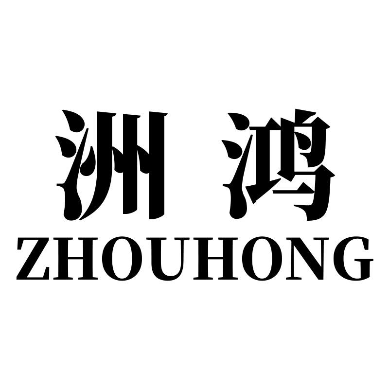 洲鸿科技企业店