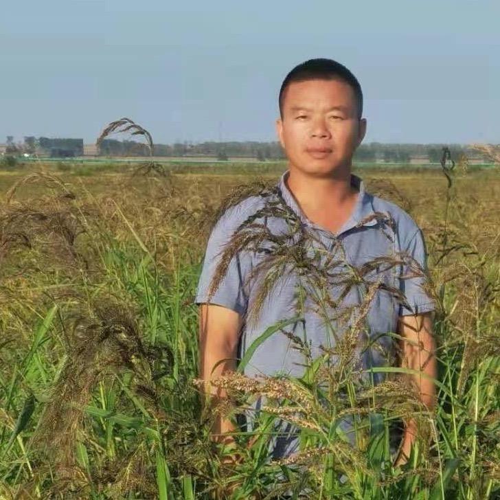 龙哥 在北方